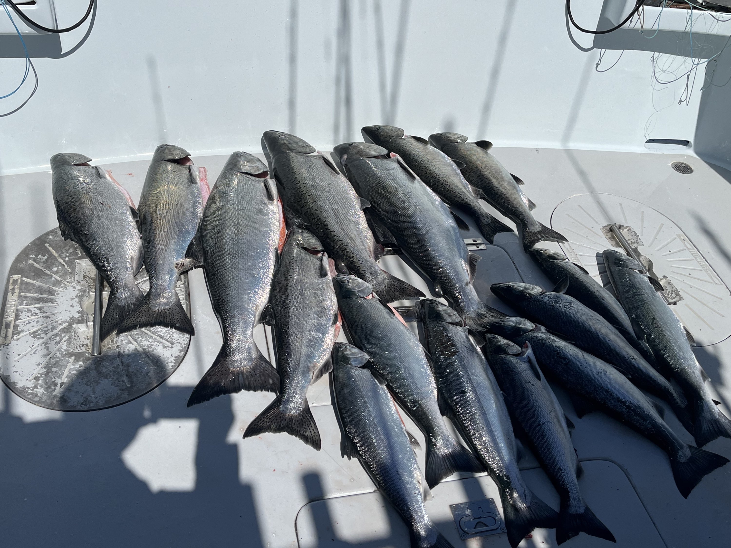 Good Day - July 2024